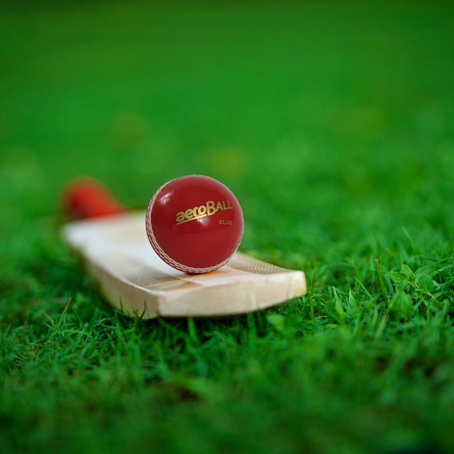 Incrediball Cricket Balls