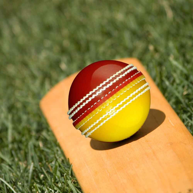 Training Cricket Balls