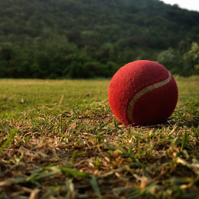 Tennis Cricket Balls