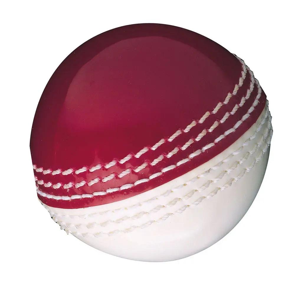 GM Skills Training Cricket Ball