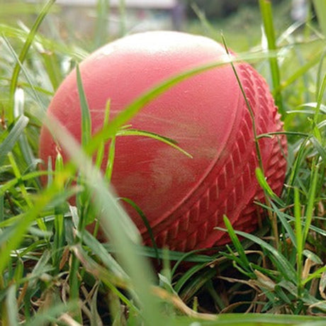 Soft Coaching Cricket Balls