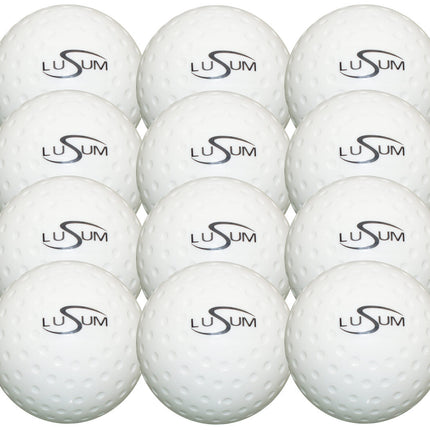 Lusum 12 Ball Hockey Pack