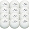 Lusum 12 Ball Hockey Balls Pack - Premium Training Balls