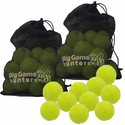 Double Strength Dog Tennis Balls