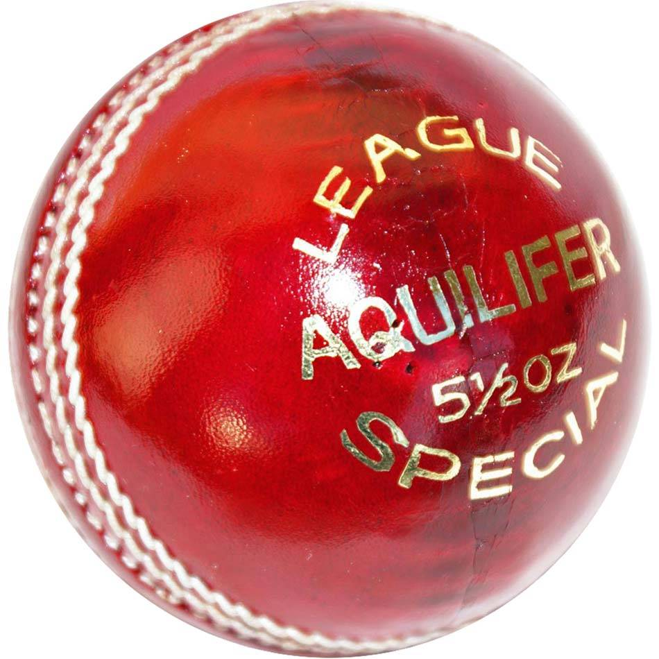 Aquilifer Cricket Ball Sports Ball Shop
