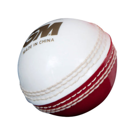 GM Skills Training Cricket Ball