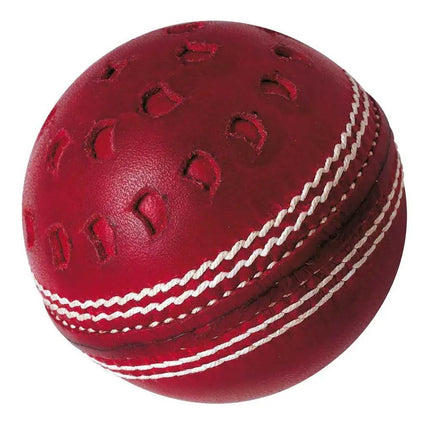 GM Chevron Cricket Ball