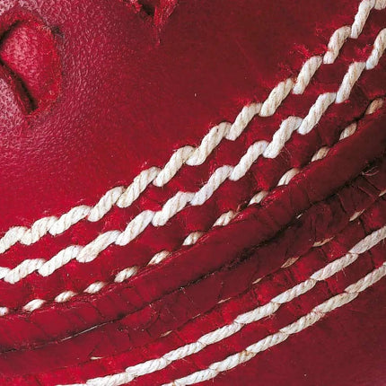 GM Chevron Cricket Ball