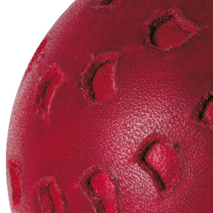 GM Chevron Cricket Ball