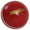 Incrediball Club Cricket Ball Junior
