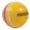 Incrediball Trainer Cricket Ball