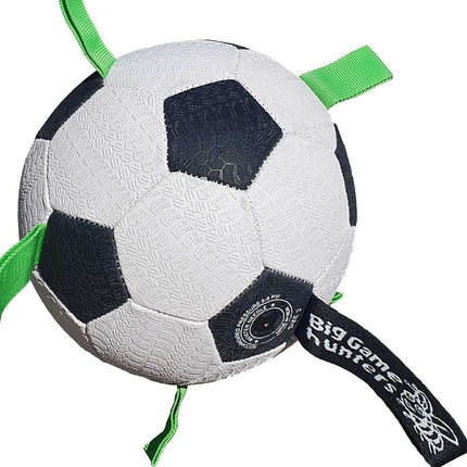 Floating Dog Footballs