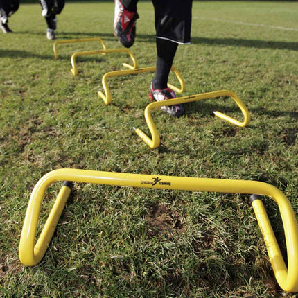 Precision Training Step Training Hurdles
