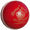 Readers Special County Imperial Crown Cricket Ball