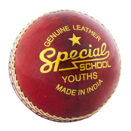 Readers Special Schools Cricket Ball