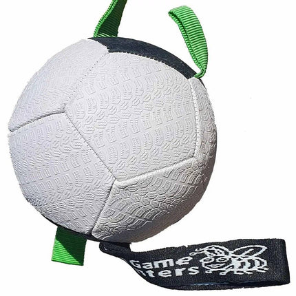 Floating Dog Footballs
